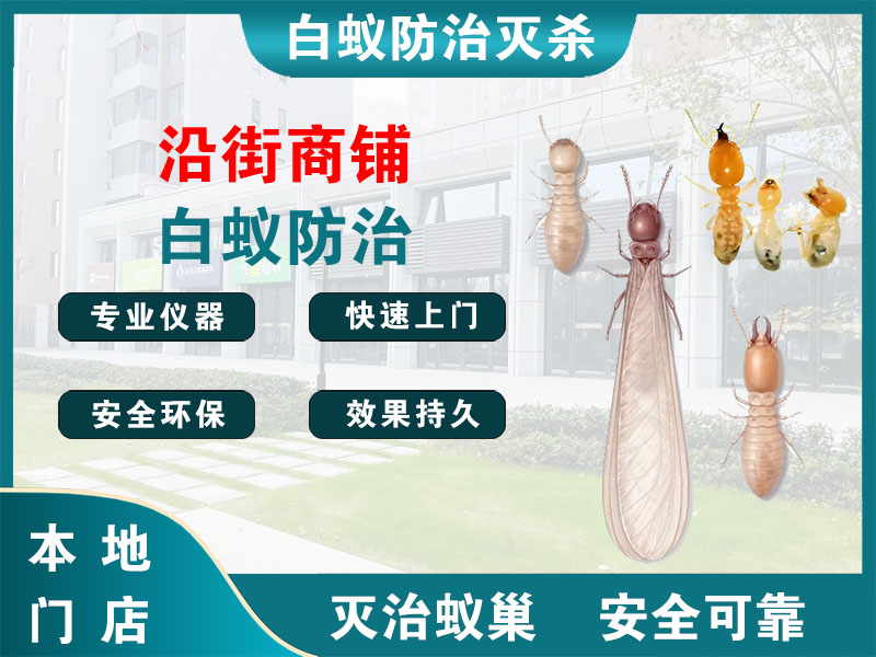 杨浦区沿街商铺白蚁防治