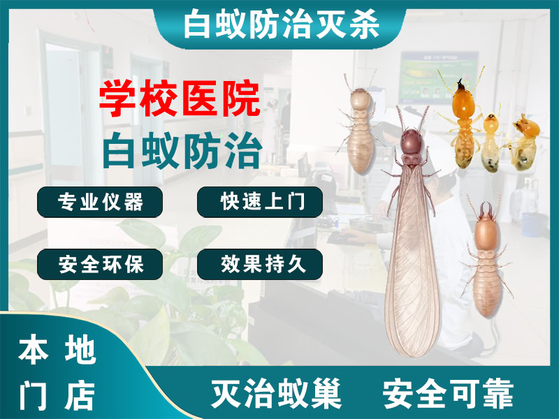 杨浦区学校医院白蚁防治
