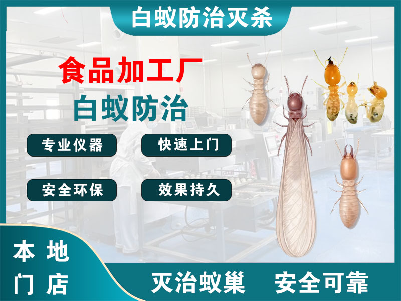杨浦区食品加工厂白蚁防治