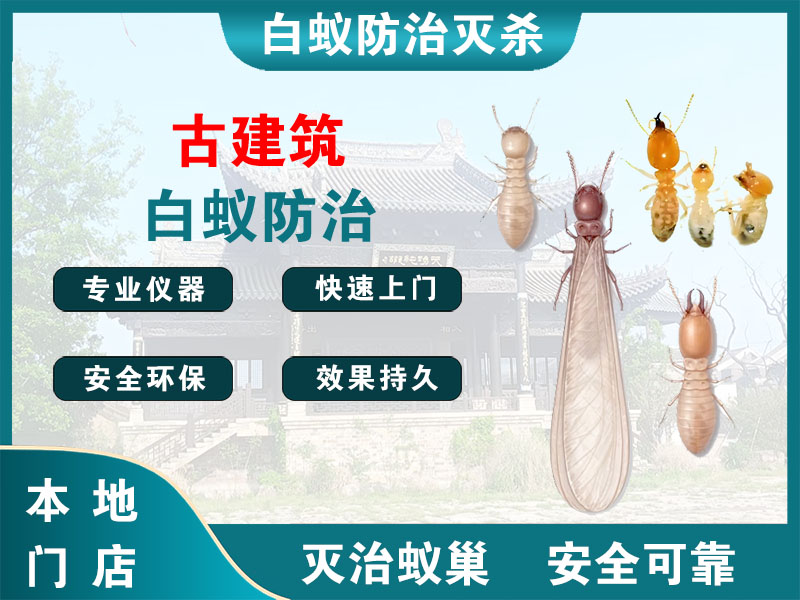 杨浦区古建筑白蚁防治