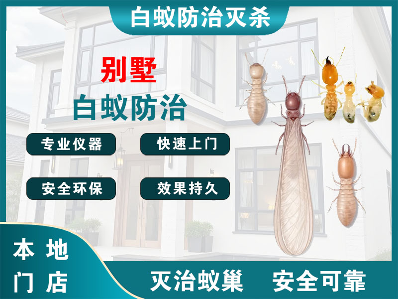 杨浦区别墅白蚁防治
